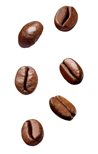 istock coffee bean brown roasted caffeine espresso seed 1093262902