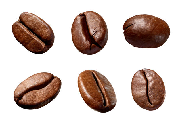 istock coffee bean brown roasted caffeine espresso seed 1093263430