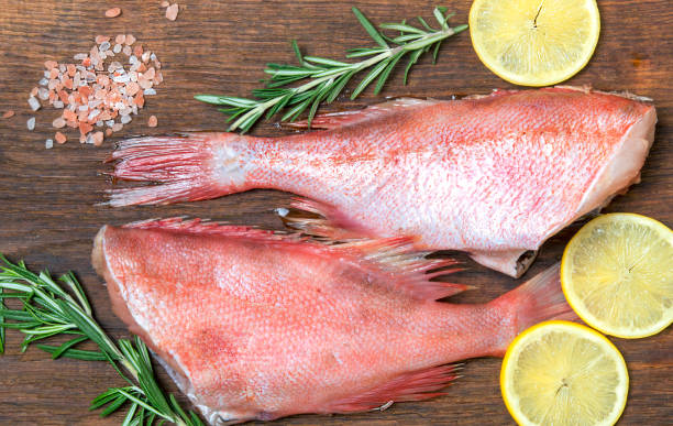 istock Sea bass on the chopping Board. 1093275324