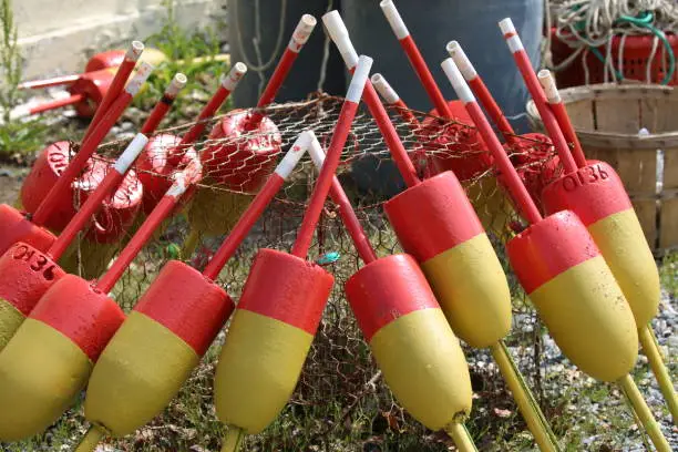 Crabbing season just around the corner, watermen have begun to prepare by painting their distinctive color schemes on their pot buoys or corks.