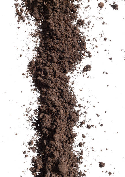 Pile of soil