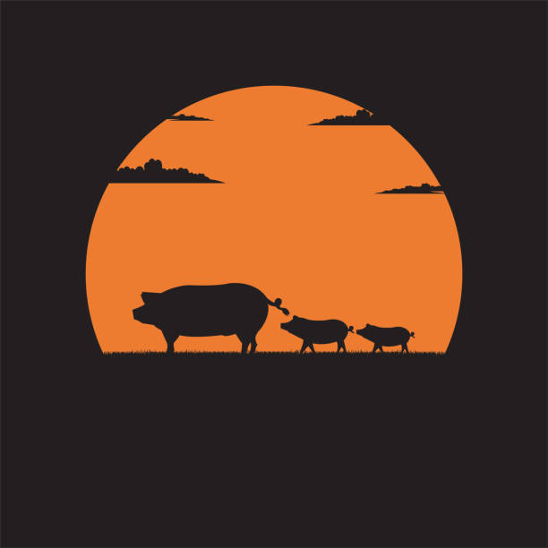 istock Silhouette mother Pig with little piglets walking on meadow of sunset background 1093281006