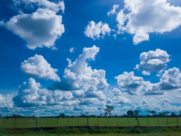 istock Green grass field and bright blue sky. Background. 1093284992