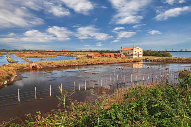 paisagem de po delta park em porto tolle, rovigo, veneto, itália - rovigo - fotografias e filmes do acervo