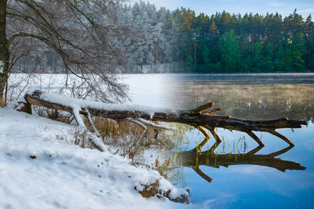 invierno primavera combinado foto 1 - masuren fotografías e imágenes de stock