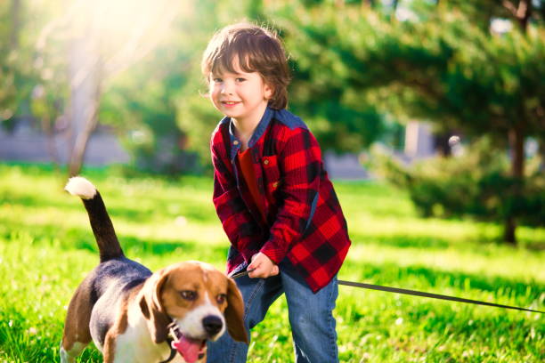 istock Boy, dog, garden, fun 1093300604