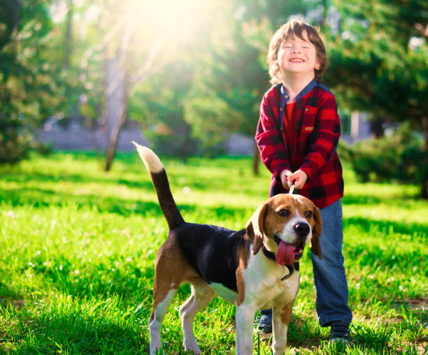 istock Boy, dog, garden, fun 1093300630