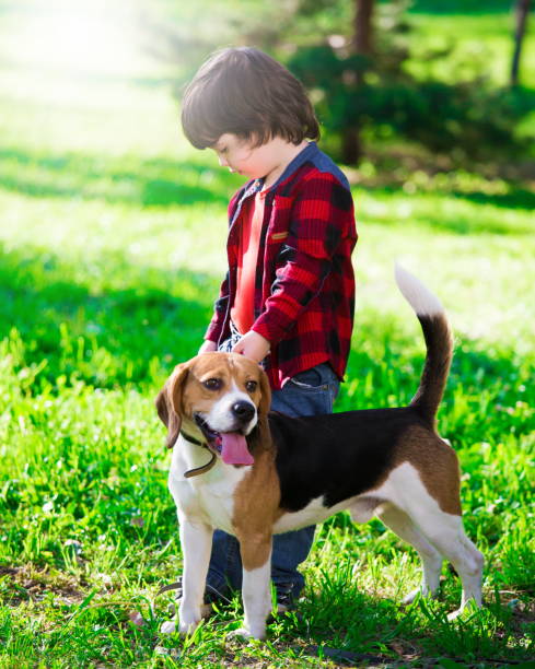 istock Boy, dog, garden, serious 1093300884