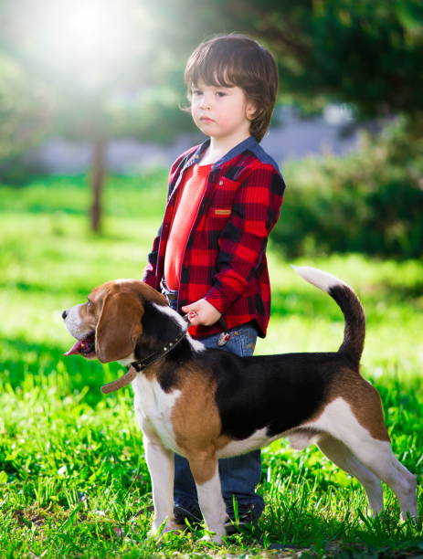 istock Boy, dog, garden, serious 1093300948