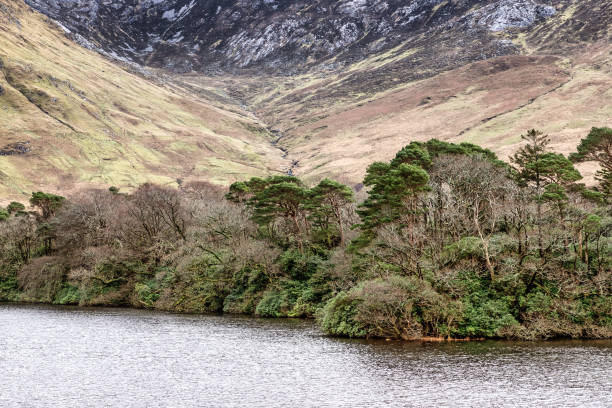istock Forest, mountains and lake in Clifden 1093301006