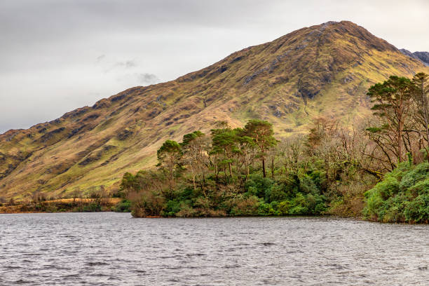 istock Forest, mountains and lake in Clifden 1093301082