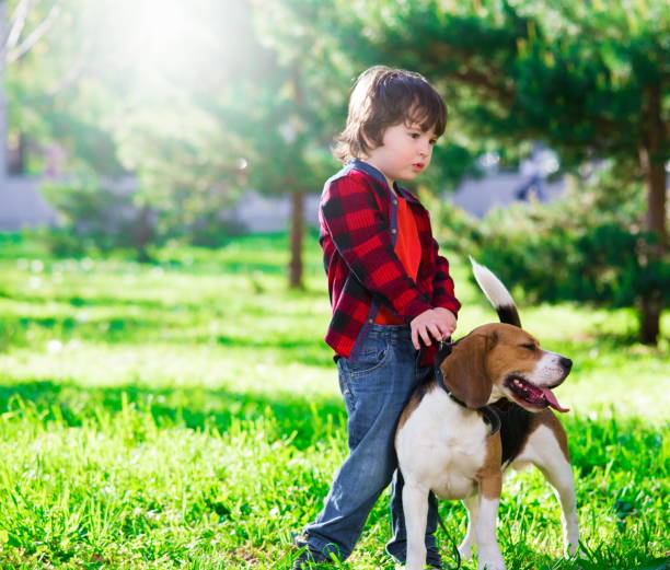 istock Boy, dog, garden, serious 1093301084