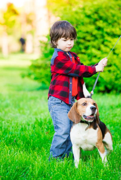 istock Boy, dog, garden, serious 1093301268