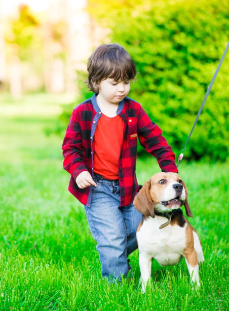 istock Boy, dog, garden, serious 1093301304