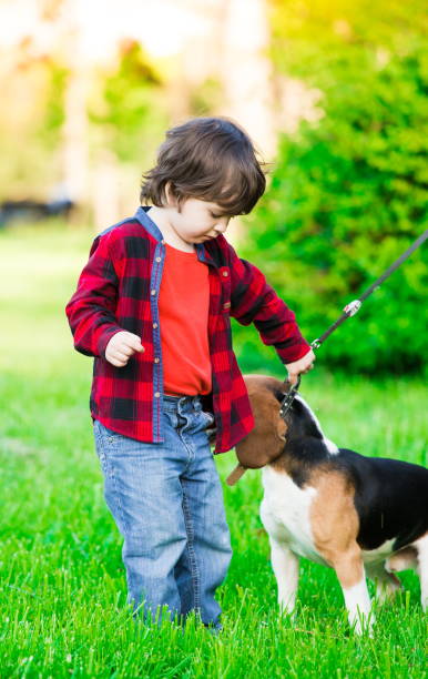 istock Boy, dog, garden, serious 1093301346