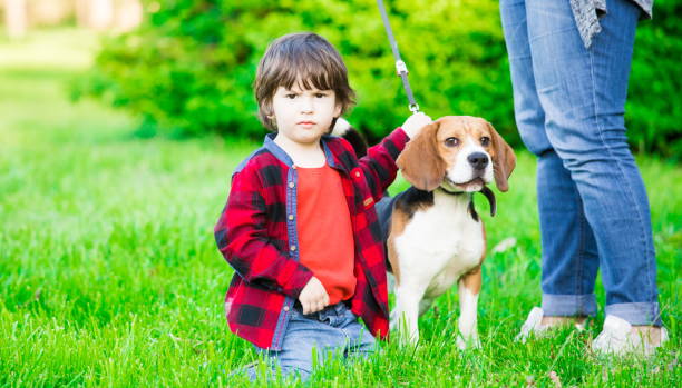 istock Boy, dog, garden, serious 1093301376