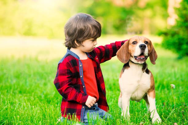 istock Boy, dog, garden, serious 1093301404