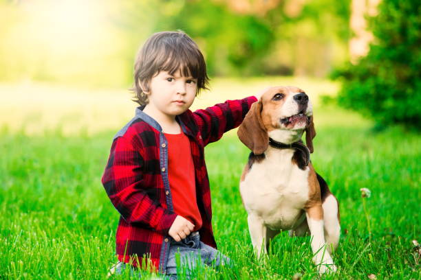 istock Boy, dog, garden, serious 1093301436
