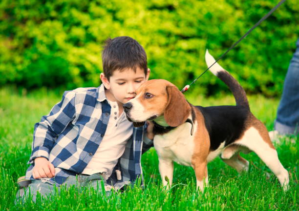 istock Boy, dog, garden, fun 1093301642
