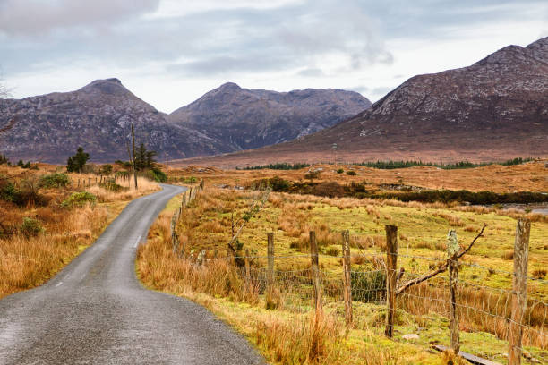istock Road with farm and mountains in Conemara 1093304698