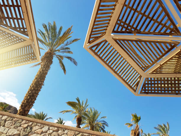 istock Sunny sky and beach umbrellas in Eilat resort; Israel 1093305114