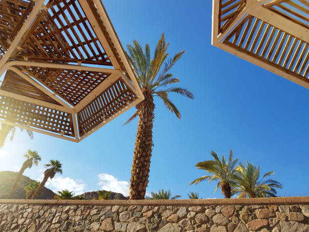 istock Sunny sky and beach umbrellas in Eilat resort; Israel 1093305190