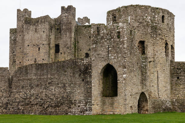 istock Ruins of Trim castle 1093305384
