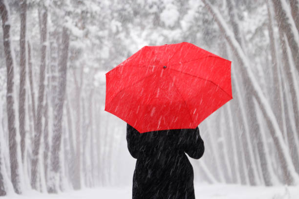 istock Women with an umbrella 1093307306