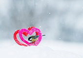 netter-karte-zum-valentinstag-mit-dem-vo