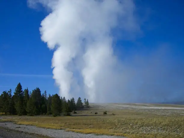 a geyser in the rocky mountains at summer