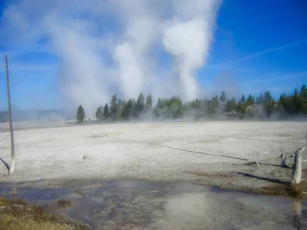 a geyser in the rocky mountains at summer