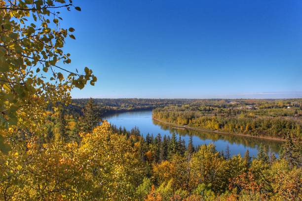 istock Autumn Leaves And Blue Sky 1093332486