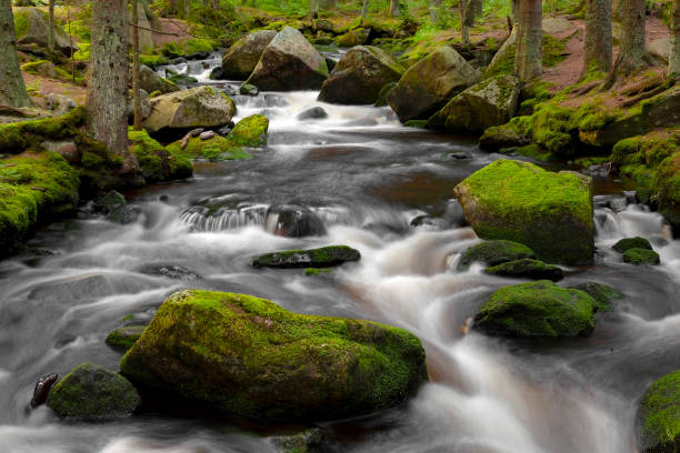 istock Mountain stream in Czech Republic 1093333088