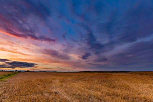 istock Spectacular sunset over stubble field 1093334652