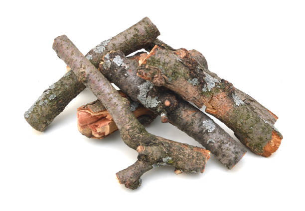 istock A pile of log branch tree on white 1093337192