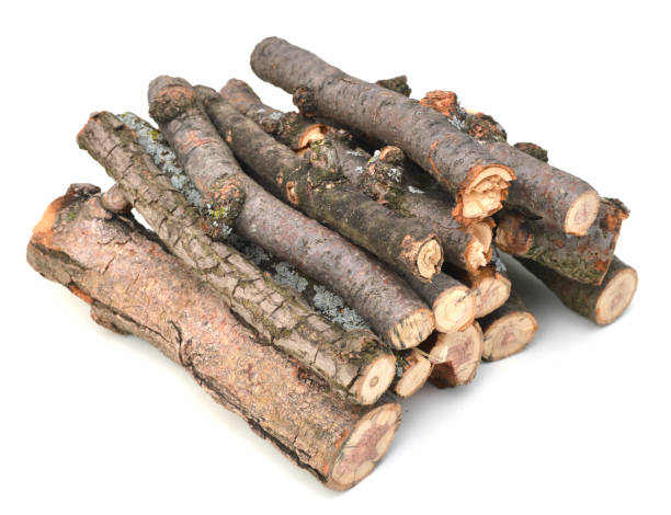 istock A pile of log branch tree on white 1093337256