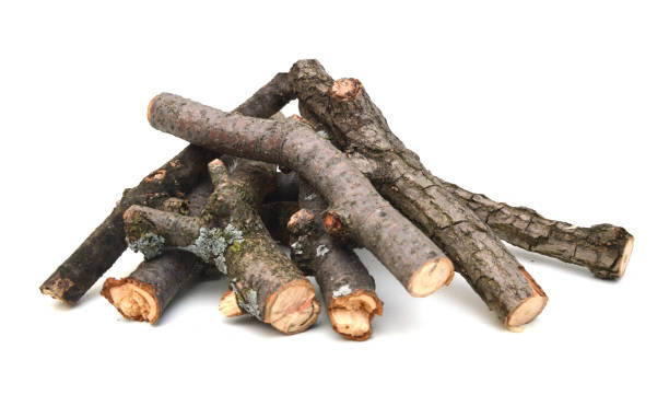 istock A pile of log branch tree on white 1093337284
