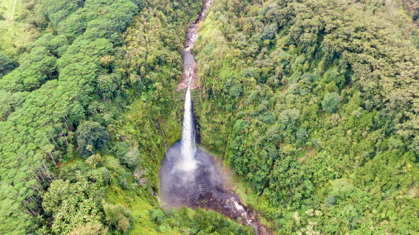 impresionante vista aérea drone de akaka cascada (135m de altura) en la gran isla de hawaii, estados unidos. la cascada forma parte de akaka falls state park, 18km al norte de hilo y es un famoso destino turístico. - hawaii islands big island waterfall nobody fotografías e imágenes de stock