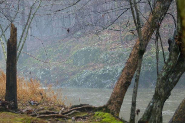 istock Rock Cliff Moss Covered Eno River in Fog 1093365186