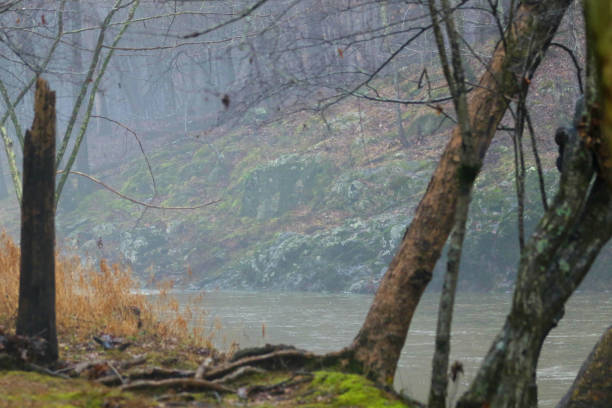 Rock Cliff Moss Covered Eno River in Fog Rock Cliff Moss Covered eno river stock pictures, royalty-free photos & images