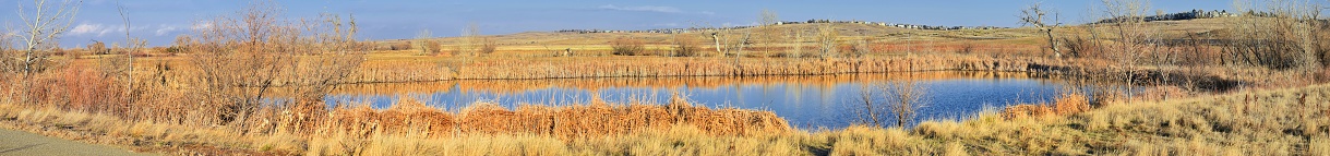 Views from the Cradleboard Trail walking pathonthe Carolyn Holmberg Preserve in Broomfield Colorado surrounded by Cattails, wildlife, plains and Rocky mountain landscape during fall close to winter. United States.