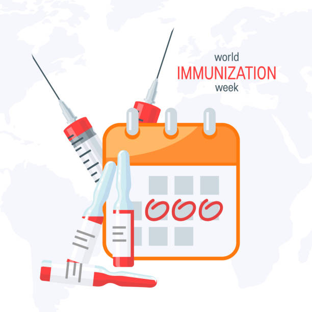 Vaccination concept, vector image in flat style Vaccination concept. Calendar, syringes and bottles of vaccine, vector illustration in flat style flu shot calendar stock illustrations