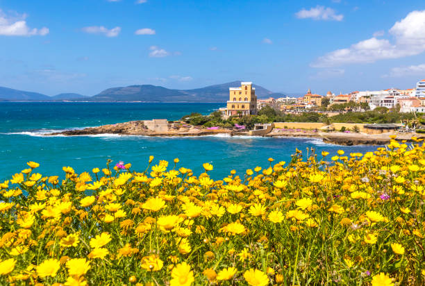 istock Mediterranean seacoast in Alghero city, Sardinia, Italy 1093381506
