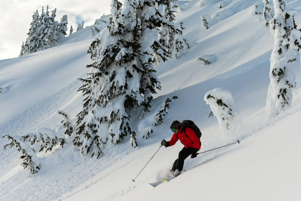 istock Skiing fresh powder in the mountains 1093385356