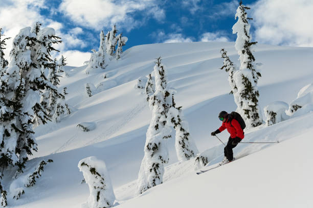 jazda na nartach świeży proszek w górach - uciekanie się narty zdjęcia i obrazy z banku zdjęć