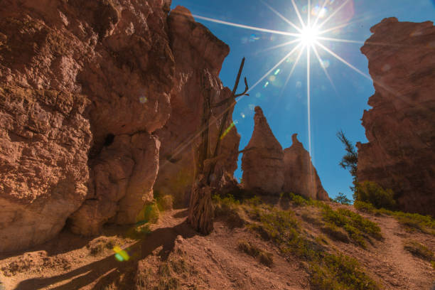 parco nazionale del bryce canyon dal sentiero navajo - sunrise point foto e immagini stock