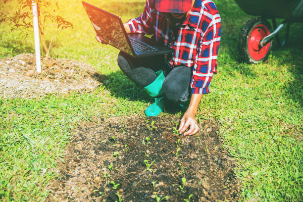 istock Young woman with laptop sitting in plots vegetable garden. using agriculture technology using tablet computer analysis data read a report. 1093395288