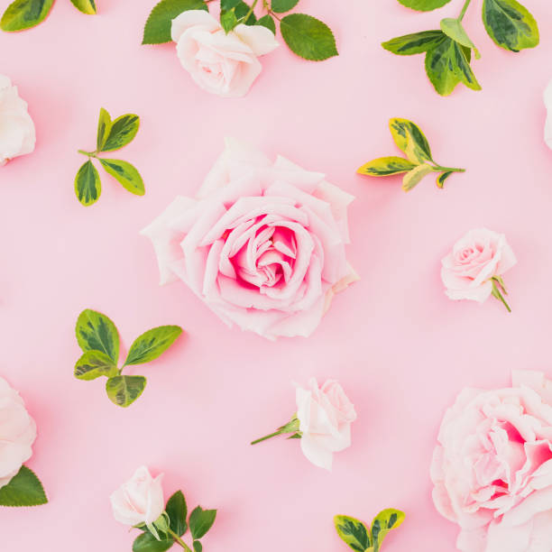 istock Floral pattern composition with roses and leaves on pink background. Flat lay, top view. Valentines day 1093396686