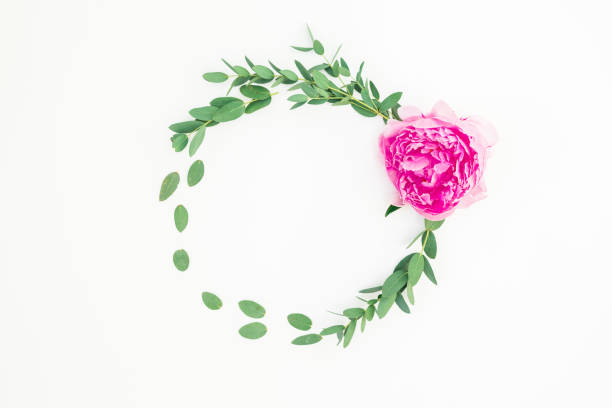 istock Floral round frame with pink peony flower, hypericum and eucalyptus on white background. Flat lay, top view 1093400260