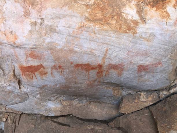 Bushman Art Drawings Cederberg Ancient Bushman art drawings on a rock in a cave of antelope with warriors in the Cederberg South Africa cederberg mountains photos stock pictures, royalty-free photos & images